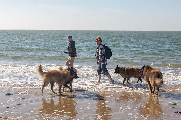 Wandeling Zoutelanden
